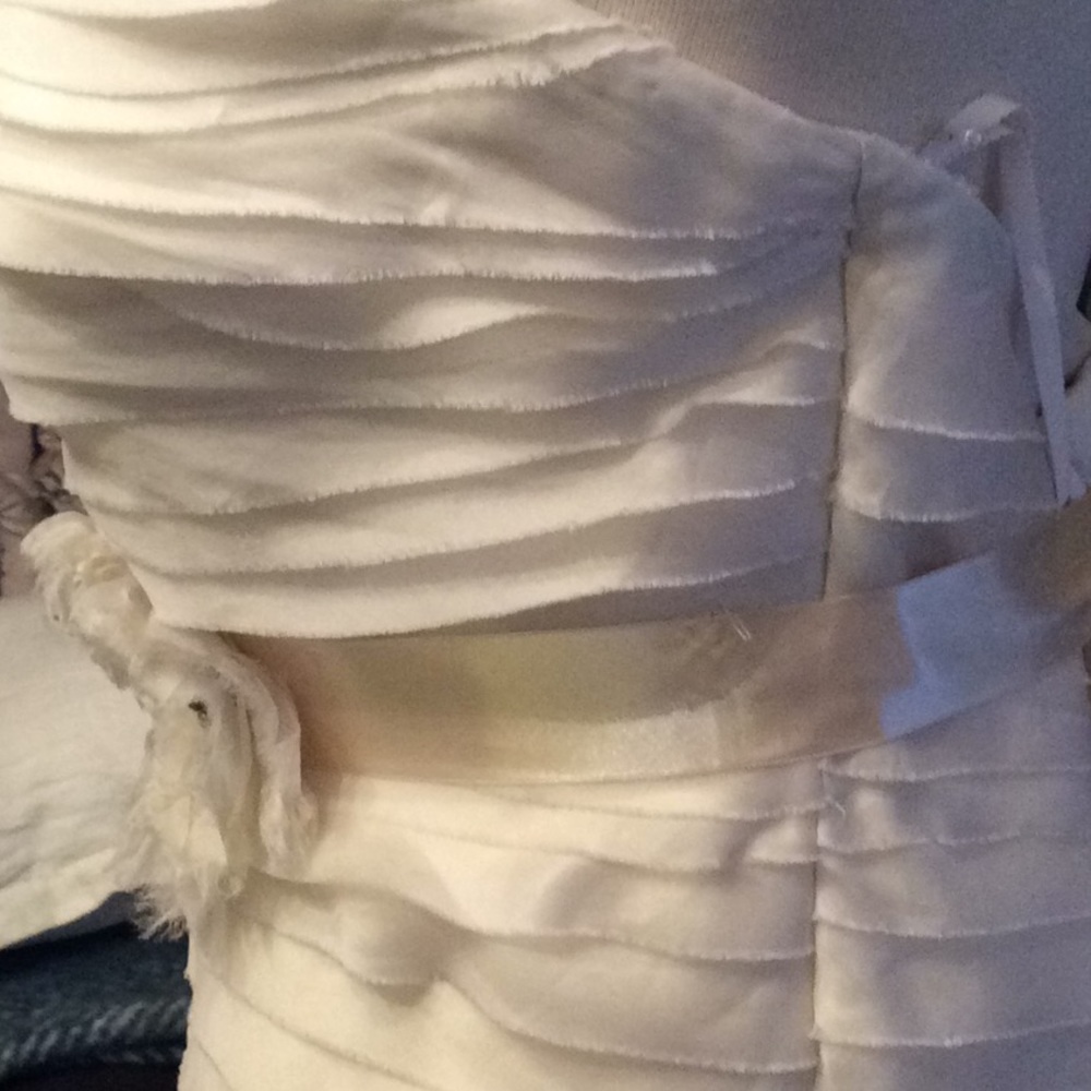 WATTERS BRIDE Plus Size Wedding Dress - Picture 5 of 10